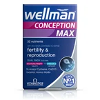 Wellman Conception Max