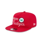 Ohio State Buckeyes Script 19TWENTY Snapback Hat