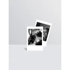Classic Mini Insta Card